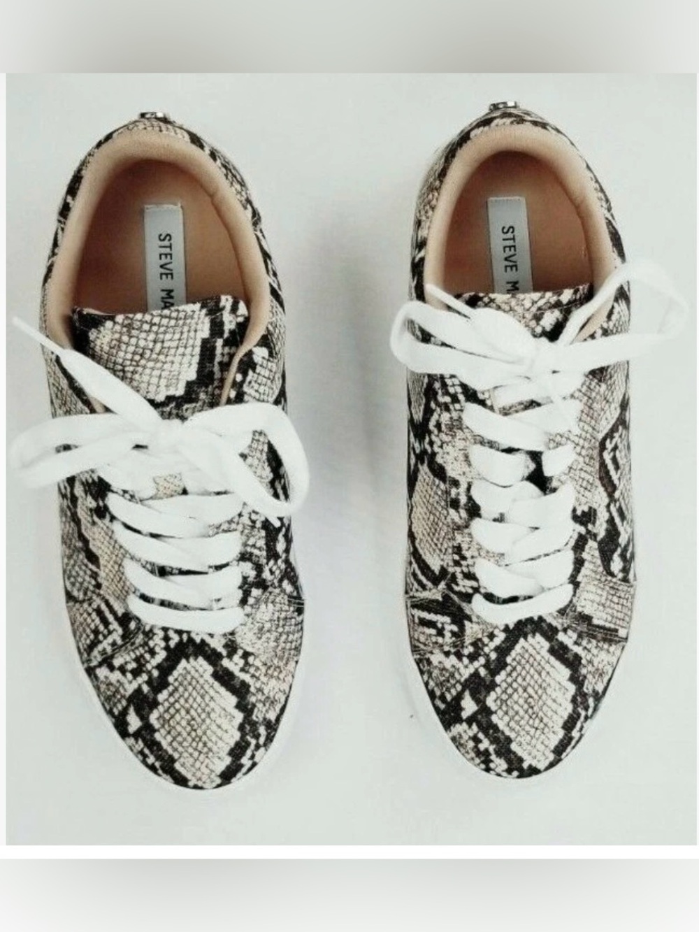 STEVE MADDEN SNAKEPRINT PYTHON VONN SNEAKER WOMENS SIZE 7.5 NEVER WORN